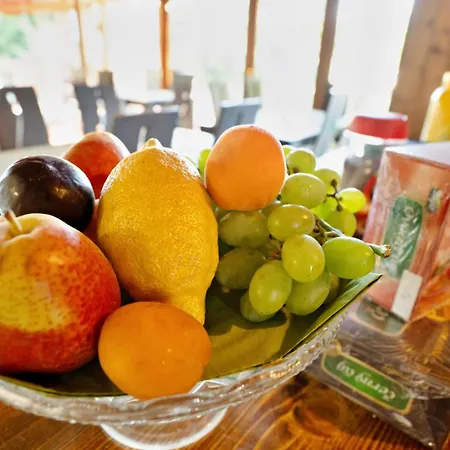 Trojna Lednice-vhodne Na Svatby,rodinne Akce,teambuilding Pensionat *